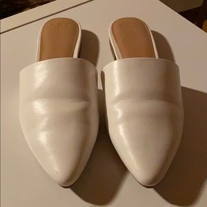 A New Day White Mules